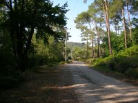 DSCN2077.JPG