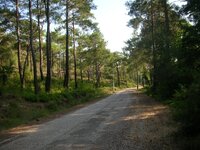 DSCN2078.JPG