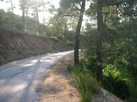 DSCN2081.JPG