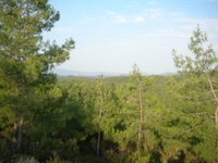 DSCN2083.JPG