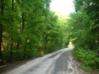 DSCN2085.JPG