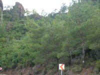 DSCN2093.JPG