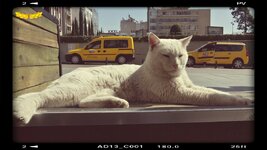 2015-03-08 11.02.23.jpg