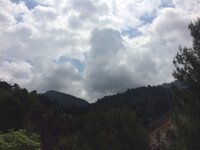 IMG_1193.JPG IMG_1193.JPG