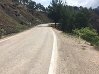 IMG_1194.JPG IMG_1194.JPG