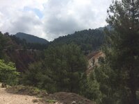 IMG_1195.JPG IMG_1195.JPG