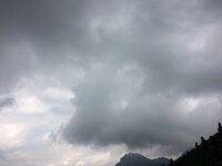 IMG_1207.JPG IMG_1207.JPG