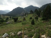 IMG_1211.JPG IMG_1211.JPG