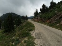 IMG_1213.JPG IMG_1213.JPG