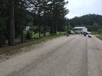 IMG_1217.JPG IMG_1217.JPG