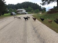 IMG_1218.JPG IMG_1218.JPG