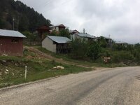 IMG_1220.JPG IMG_1220.JPG