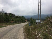 IMG_1221.JPG IMG_1221.JPG