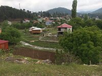 IMG_1223.JPG IMG_1223.JPG