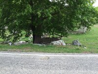 IMG_1229.JPG IMG_1229.JPG