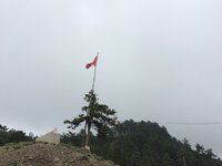 IMG_1231.JPG IMG_1231.JPG