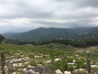 IMG_1232.JPG IMG_1232.JPG