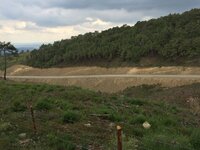 IMG_1239.JPG IMG_1239.JPG