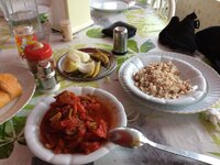 IMG_1252.JPG IMG_1252.JPG