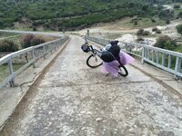 IMG_1260.JPG IMG_1260.JPG