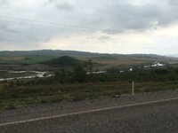 IMG_1265.JPG IMG_1265.JPG