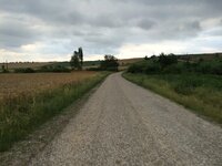 IMG_1267.JPG IMG_1267.JPG