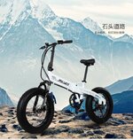 fat e-bike.jpg fat e-bike.jpg