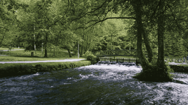 Ekran Resmi 2016-08-08 22.08.52.png