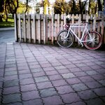 IMG_20160421_191031.jpg