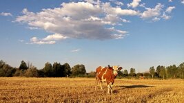 20160722_184849.jpg 20160722_184849.jpg