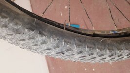 IMG-20160819-WA0001.jpeg