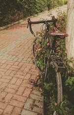 Screenshot_2016-06-03-19-30-33.jpg Screenshot_2016-06-03-19-30-33.jpg