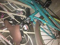 image.jpeg image.jpeg