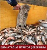 elim ayagım titriyor ehe.jpg elim ayagım titriyor ehe.jpg