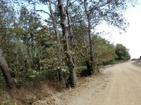 IMG_20160904_103847.jpg IMG_20160904_103847.jpg