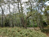 IMG_20160904_103852.jpg IMG_20160904_103852.jpg