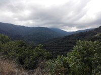 IMG_20160904_104702.jpg IMG_20160904_104702.jpg