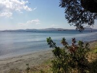 IMG_20160904_140618.jpg IMG_20160904_140618.jpg