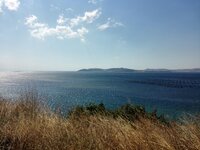 IMG_20160904_144726.jpg IMG_20160904_144726.jpg