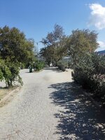 IMG_20160904_150240.jpg IMG_20160904_150240.jpg