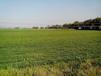 IMG_20150808_085736 (Kopyala).jpg