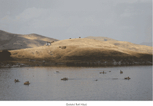 Ekran Resmi 2016-09-10 23.39.53.png