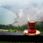 IMG_20160722_102608.jpg IMG_20160722_102608.jpg