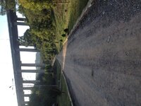 IMG_3747.JPG IMG_3747.JPG