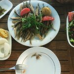 IMG_20160729_181738.jpg IMG_20160729_181738.jpg