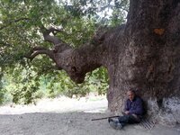 uçmakdere amca.jpg uçmakdere amca.jpg