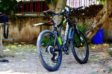 _MG_8928.JPG
