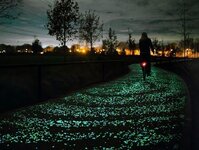 Studio-Roosegaarde-Solar-Bike-Path-Van-Gogh-2.jpg