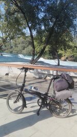 IMG_20160728_173749.jpg IMG_20160728_173749.jpg