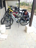 image.jpeg image.jpeg